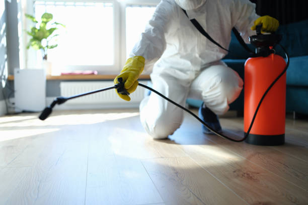 Reliable Odor Removal contractor in Taylor, MI by Trauma Clean Pros